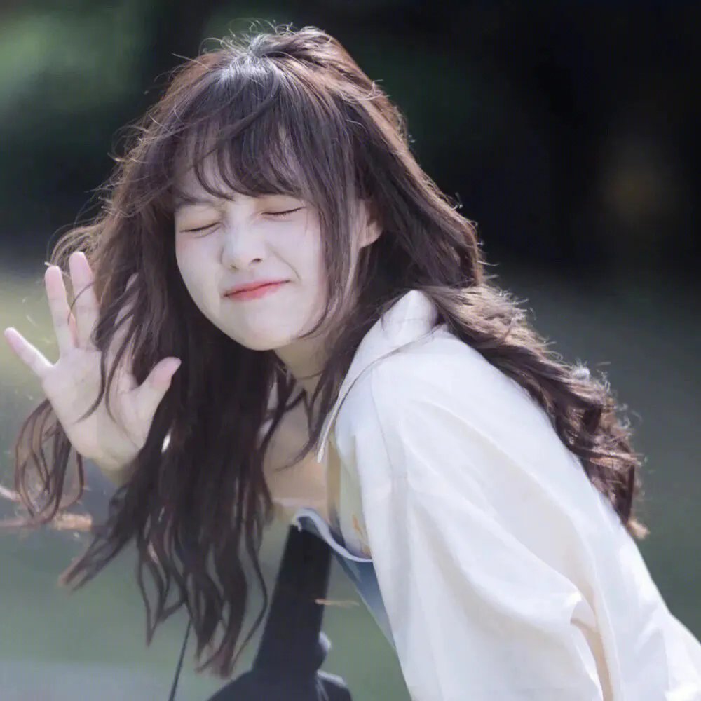 少女情怀尽是诗
